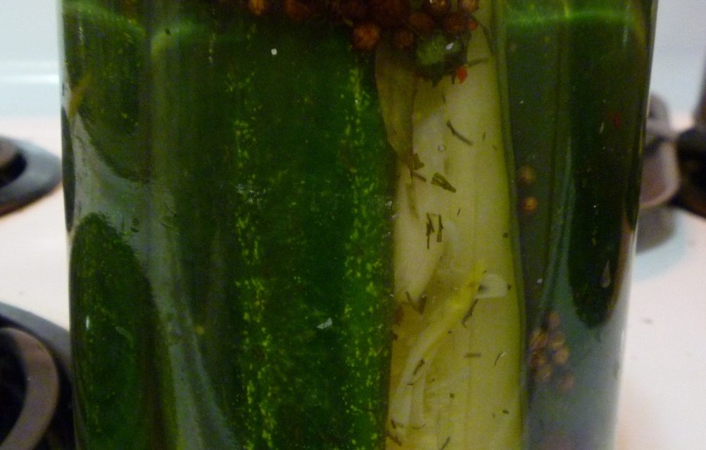This Week’s Experiment: Pickles