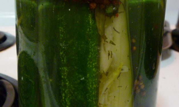 This Week’s Experiment: Pickles