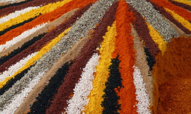 Spicing up your Cuisine: Exploring the World of Spices