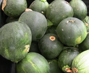 Round Zucchini