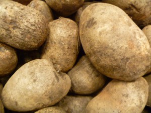 Oriental Yams