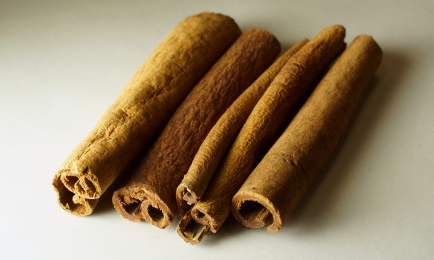 Following the Spice: Cinnamon