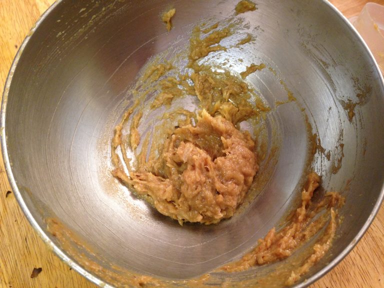 Toaster Ovens and Roasted Garlic Puree Kitchen Shaman