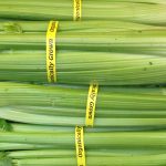 Celery, good for you in so many ways. It was used as medicine in ancient times, and is finally being accepted as a healthy choice as a snack.