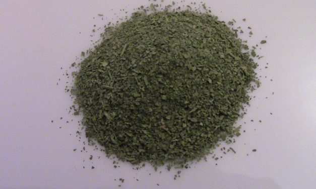 Many Uses, One Herb: Epazote