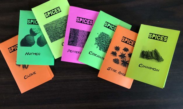 All you need is a Spice Zine!